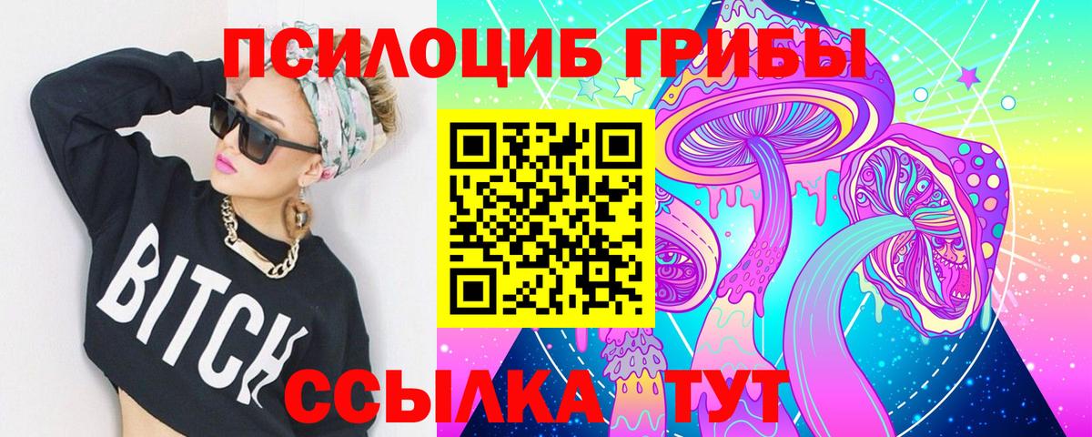 Шарыпово  Галлюциногенные грибы Psilocybine cubensis  Вход с VPN 